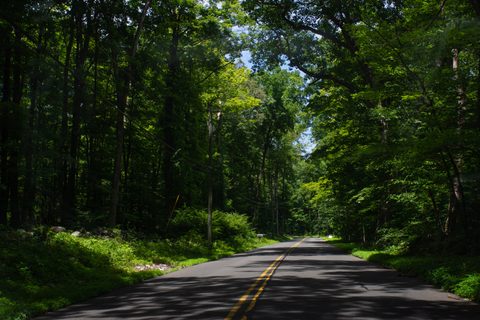 Downs Road, Bethany