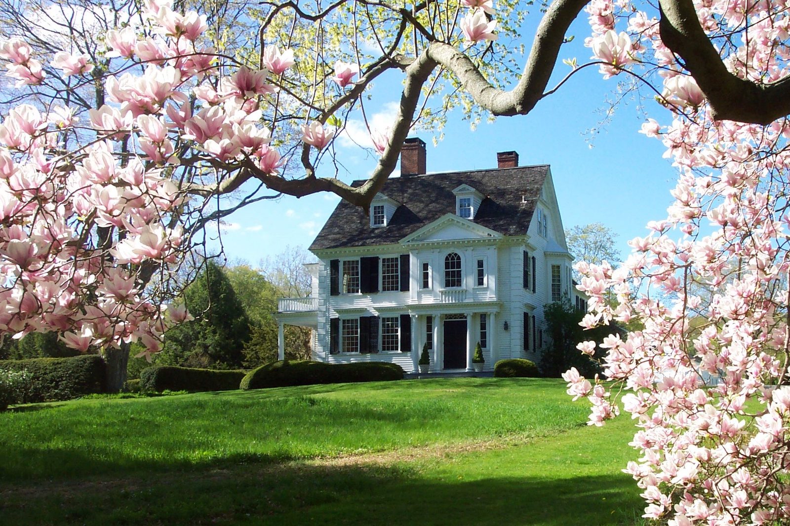 Bellamy-Ferriday House & Garden