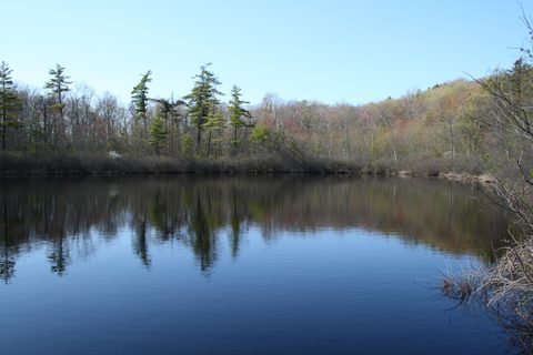 Lake Louise, Penwood State Park
