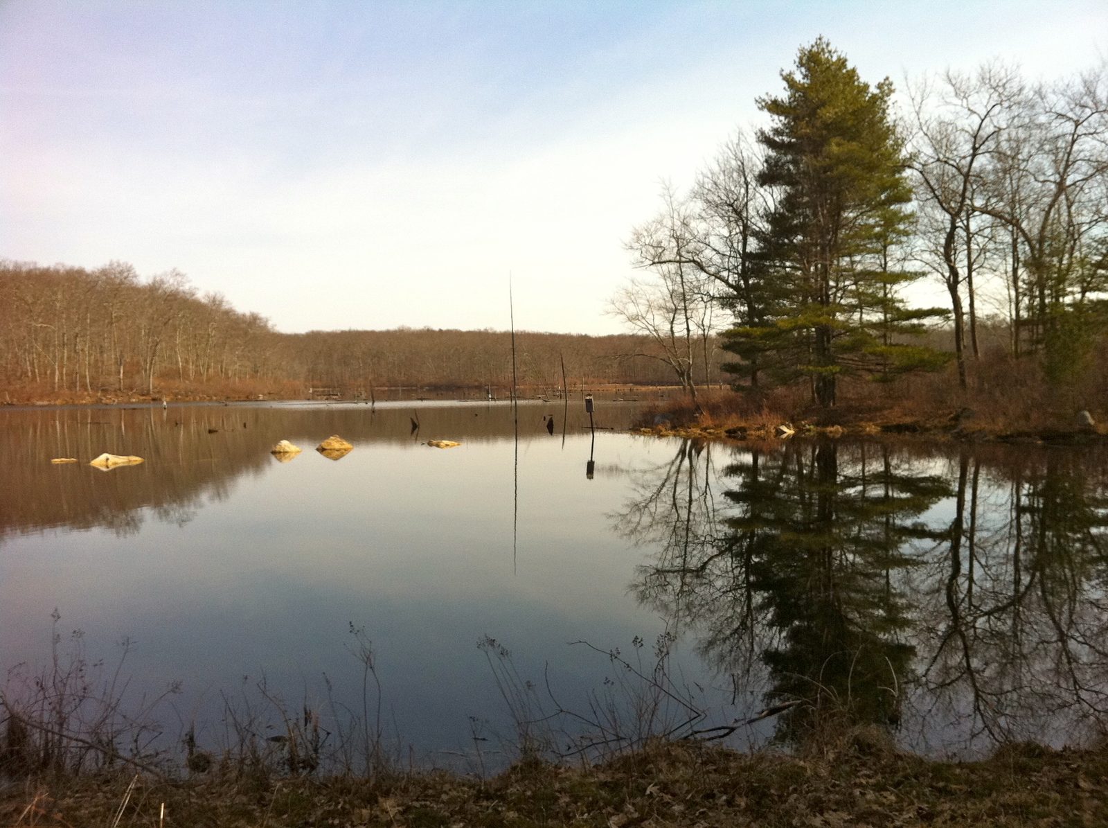 Black Spruce Pond, Natchaug State Forest
