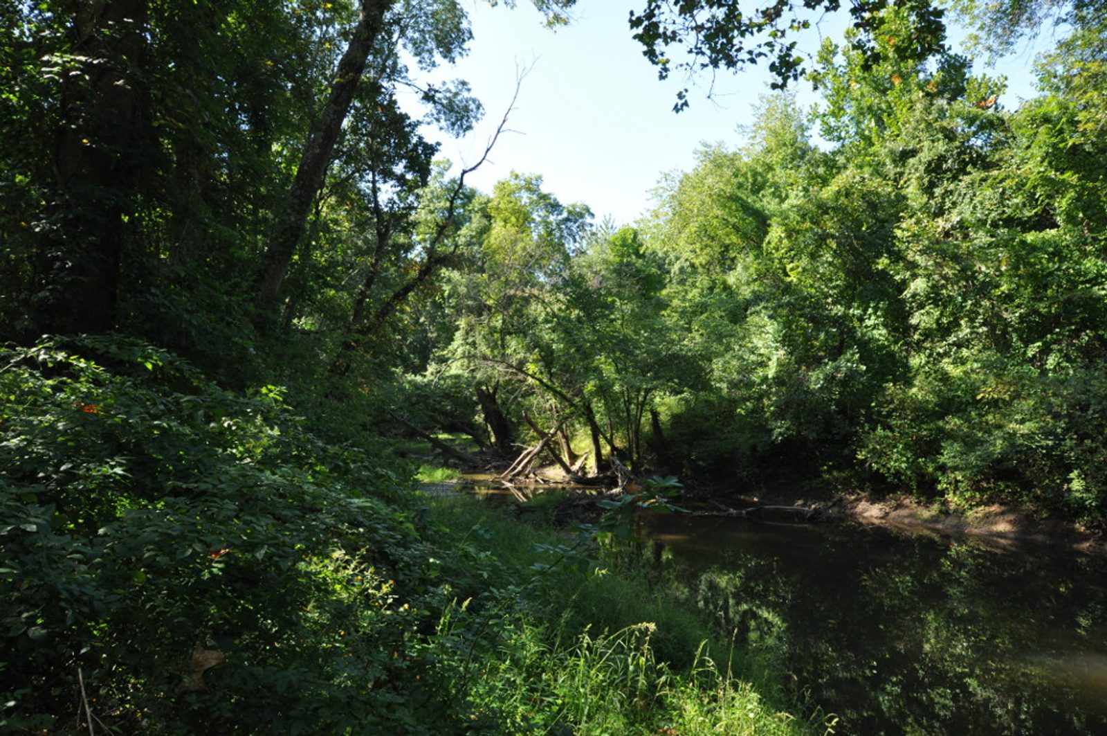 Scantic River at the Melrose access