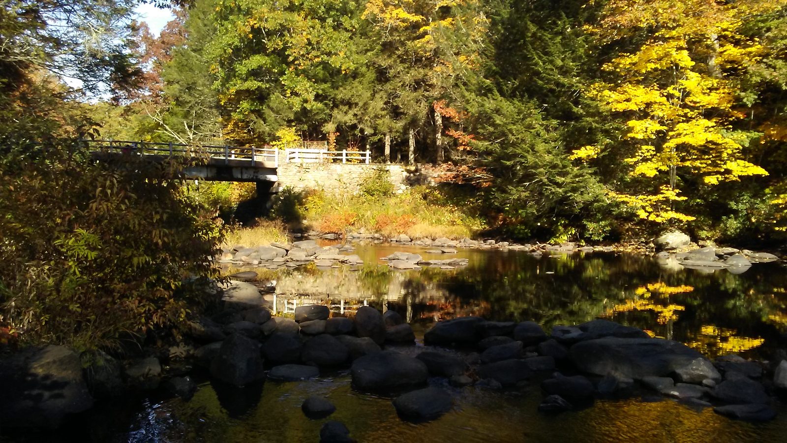 Natchaug State Forest