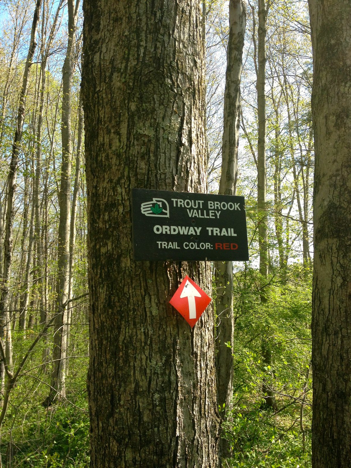 Trout Brook Valley Preserve trailhead