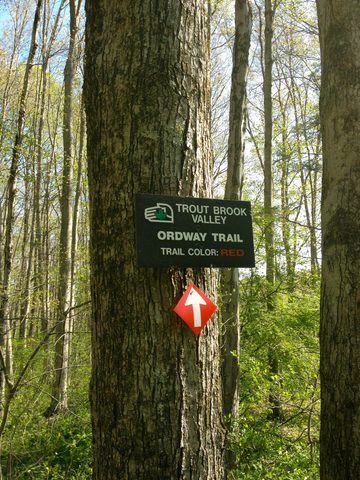 Trout Brook Valley Preserve trailhead