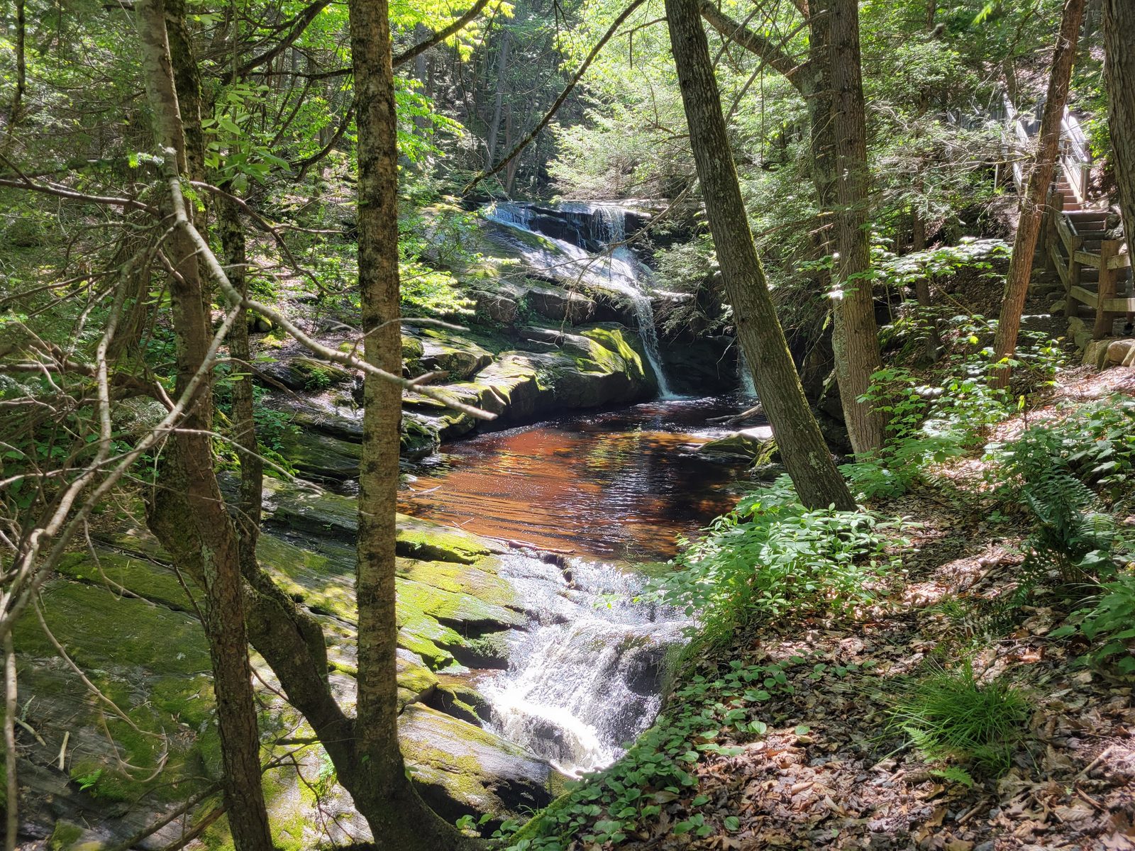 Enders State Forest waterfall