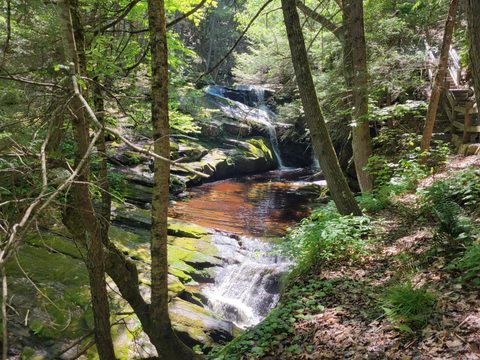 Enders State Forest waterfall
