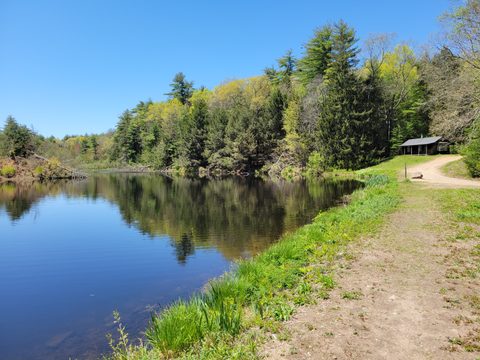 Trout Pond, McLean Game Refuge