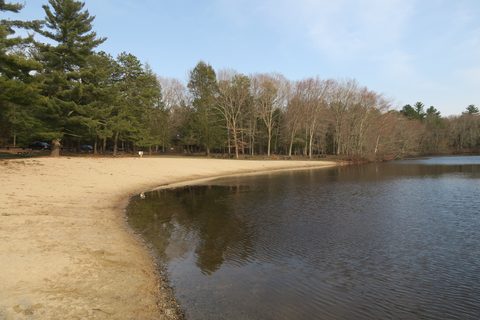 Hopeville Pond State Park beach