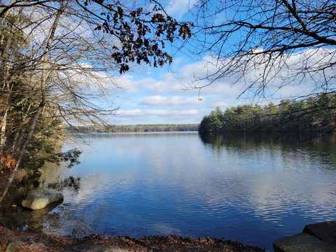 Killingly Pond