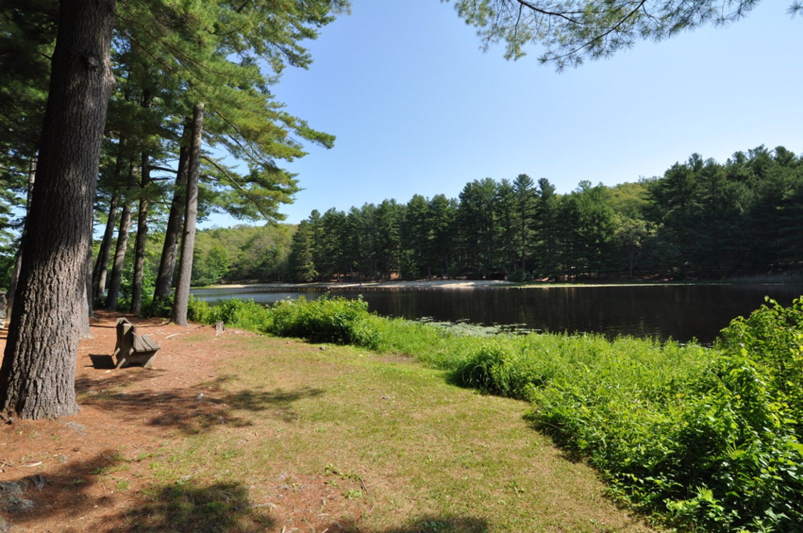 Schreeder Pond, Chatfield Hollow State Park
