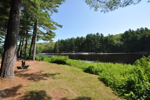 Schreeder Pond, Chatfield Hollow State Park