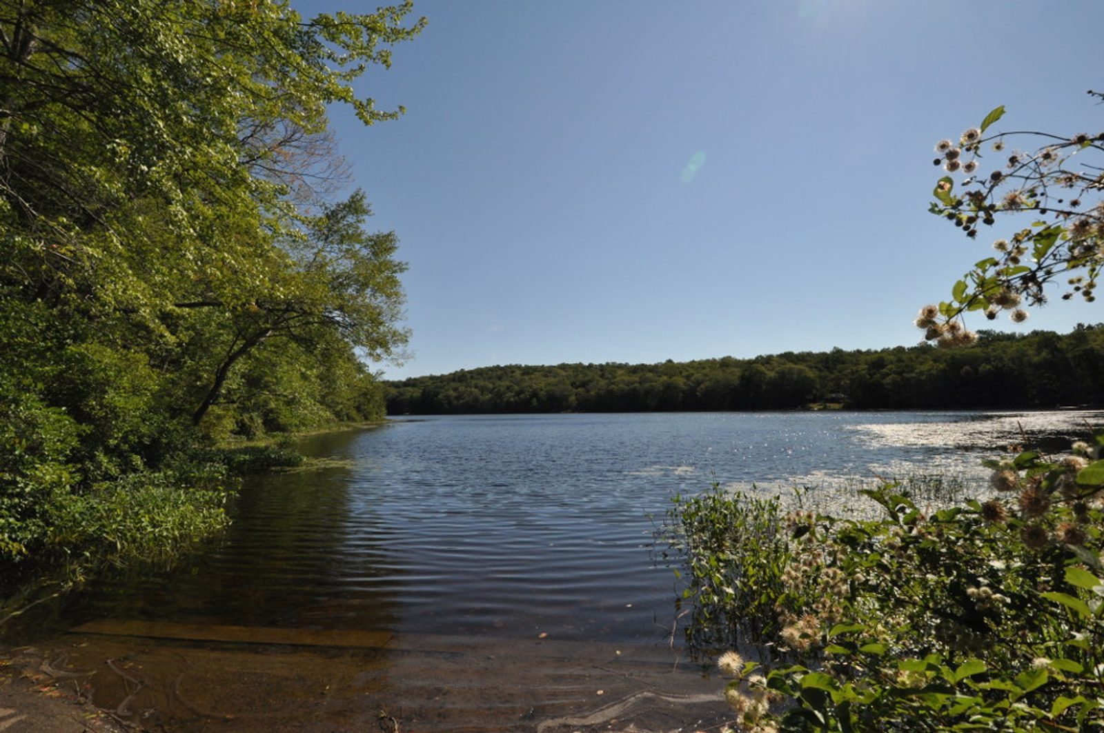 Nehantic State Forest