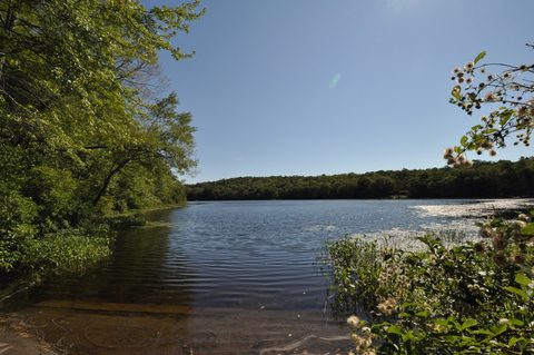Nehantic State Forest