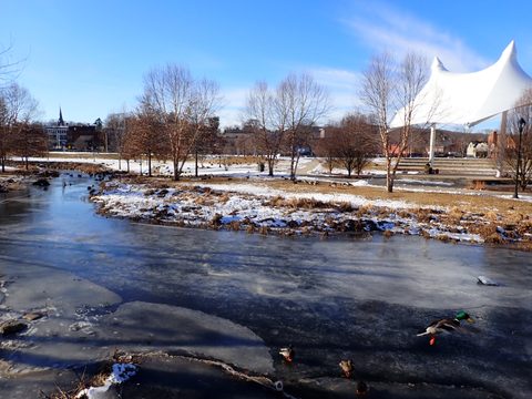 Harbor Brook in Meriden Green