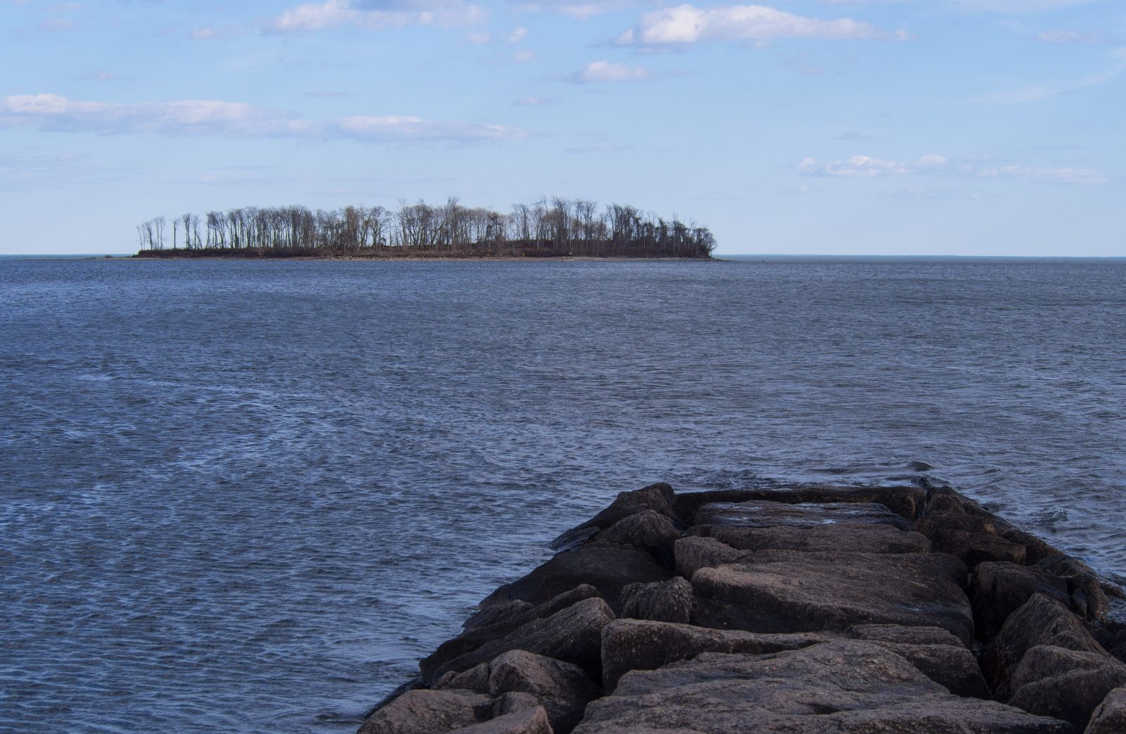 Charles Island from Silver Sands State Park