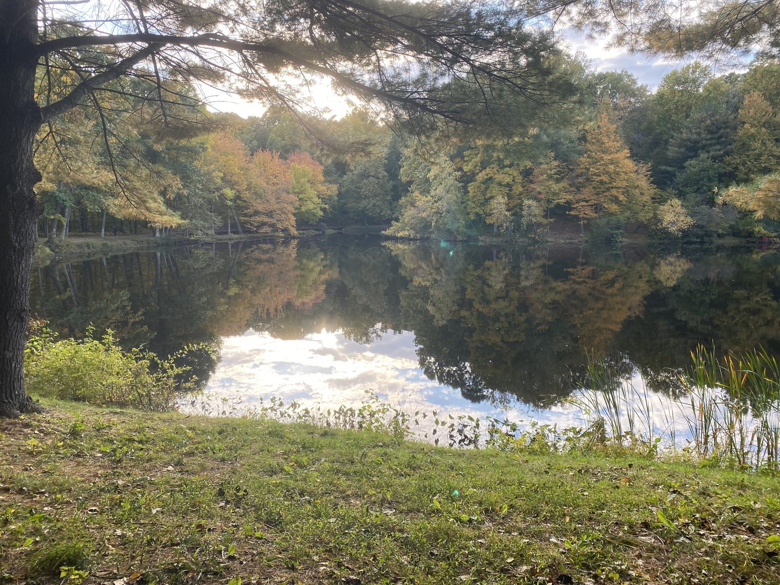 Great Hollow Lake