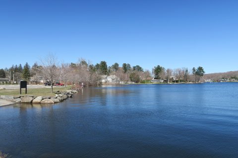 Bantam Lake shoreline