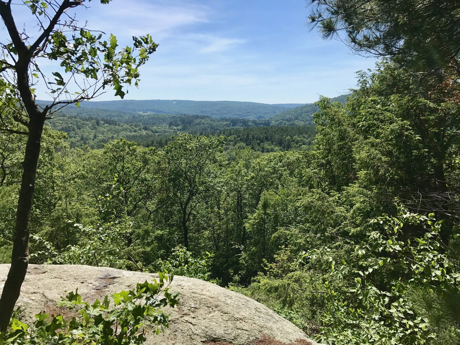 Nepaug State Forest overlook