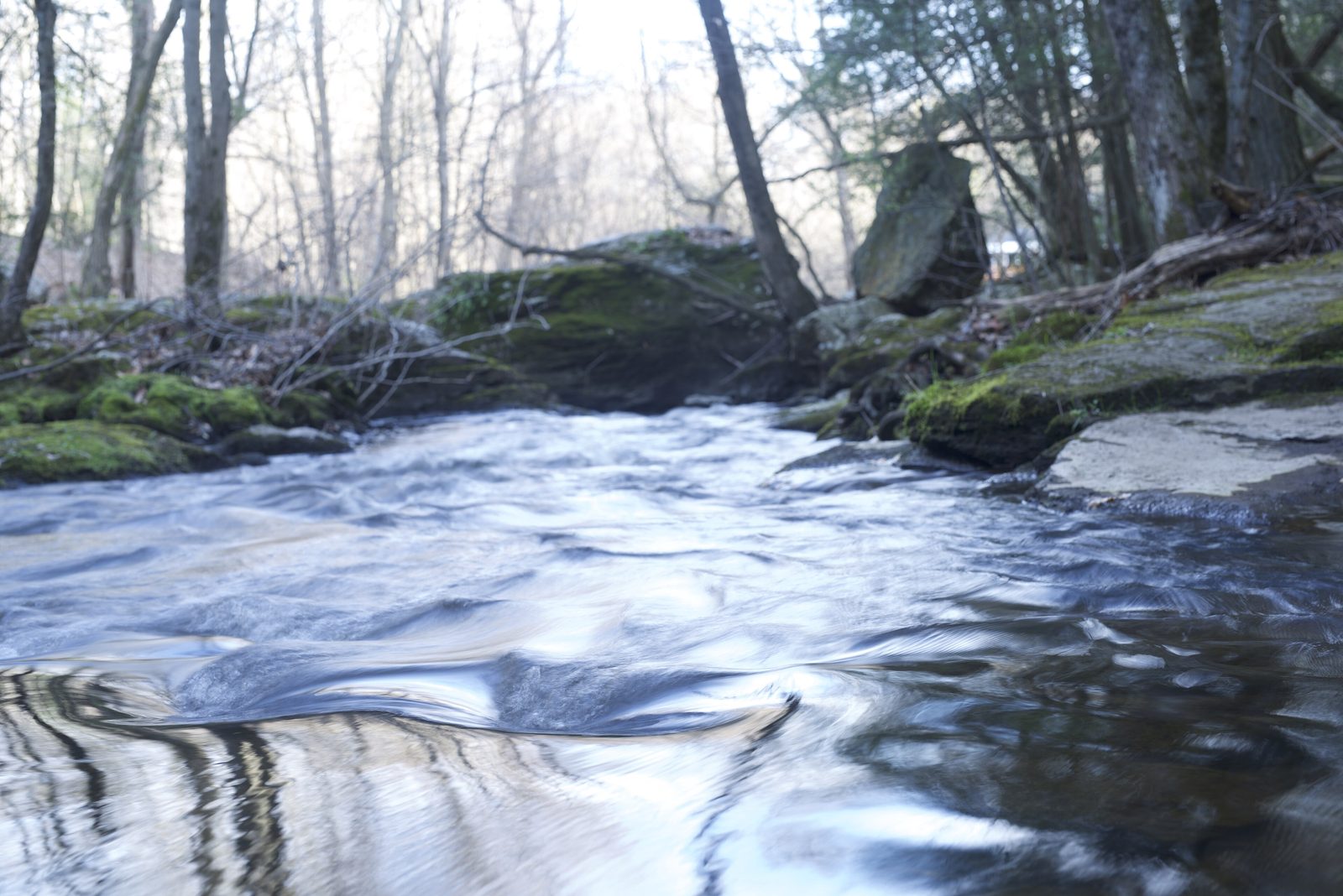 The Pequonnock River at Old Mine Park
