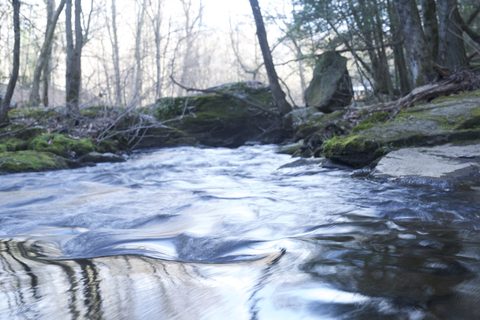The Pequonnock River at Old Mine Park