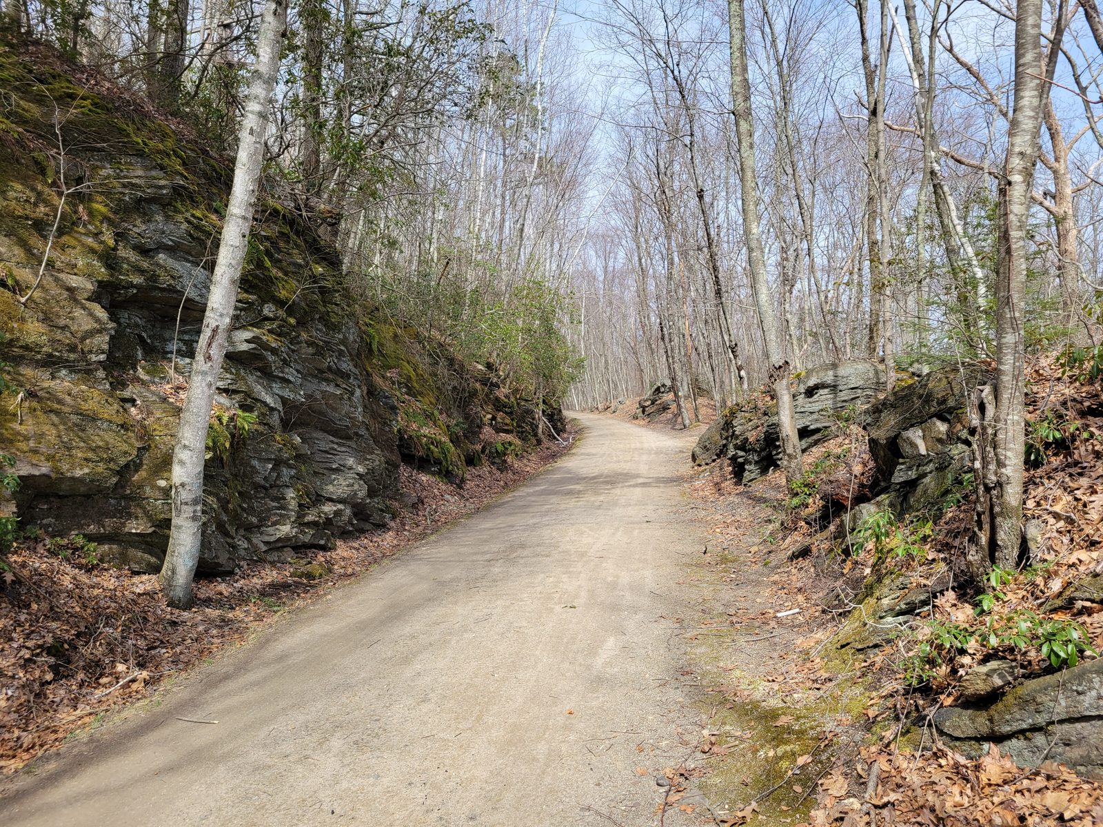 Hop River State Park Trail