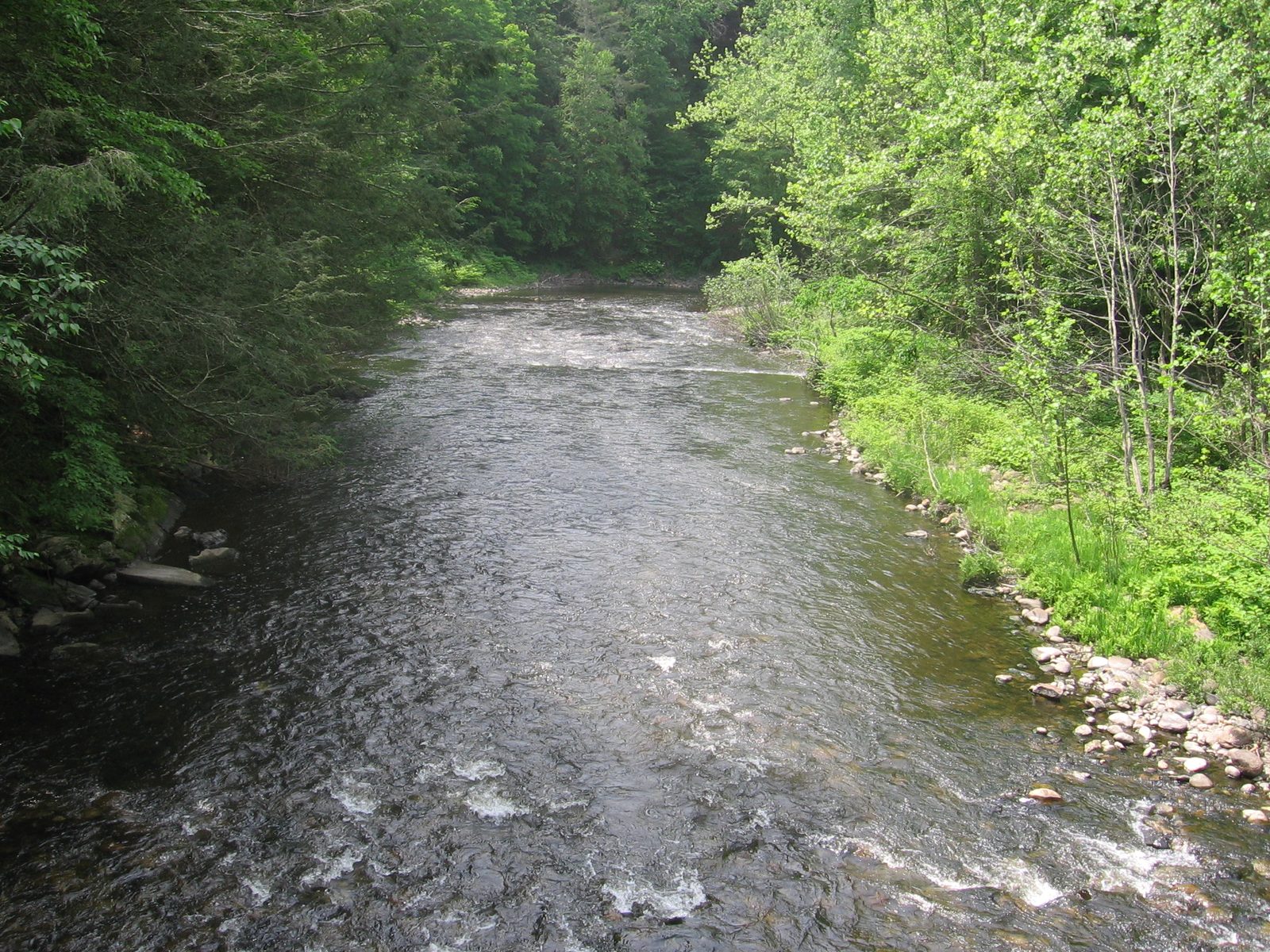 Shepaug River from the Hauser footbridge