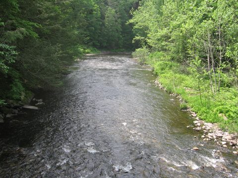 Shepaug River from the Hauser footbridge
