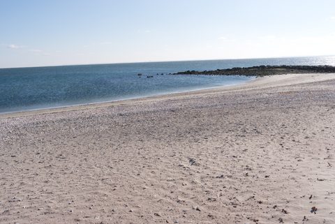 Compo Beach
