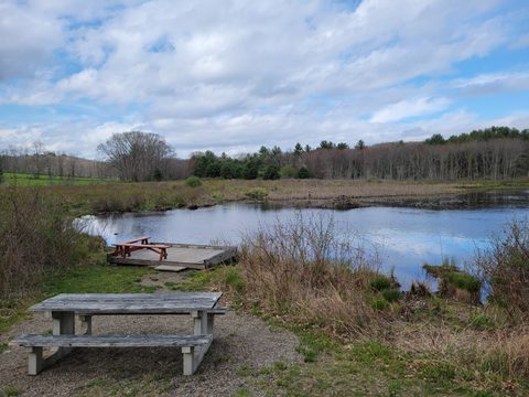 Fenton-Ruby Park and Wildlife Preserve