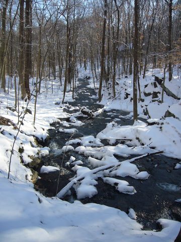 Wepawaug Falls