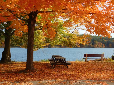 Roseland Park in autumn