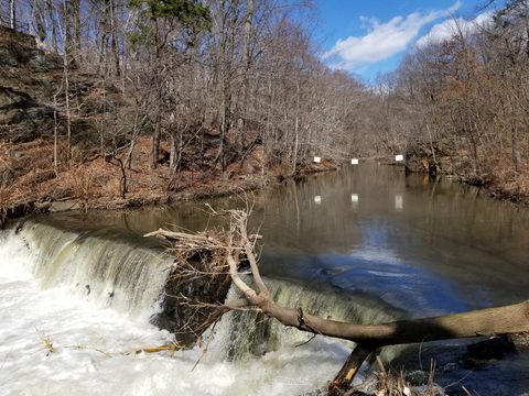 Waterfall on the Bronx River in Bronx Park