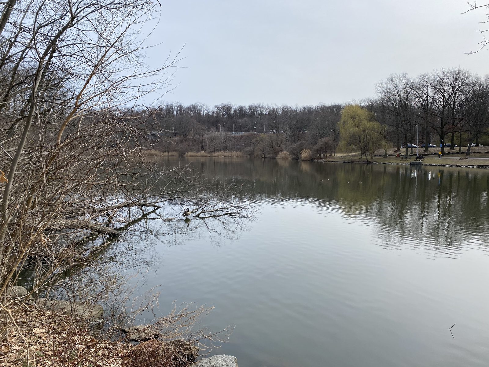 Van Cortlandt Lake