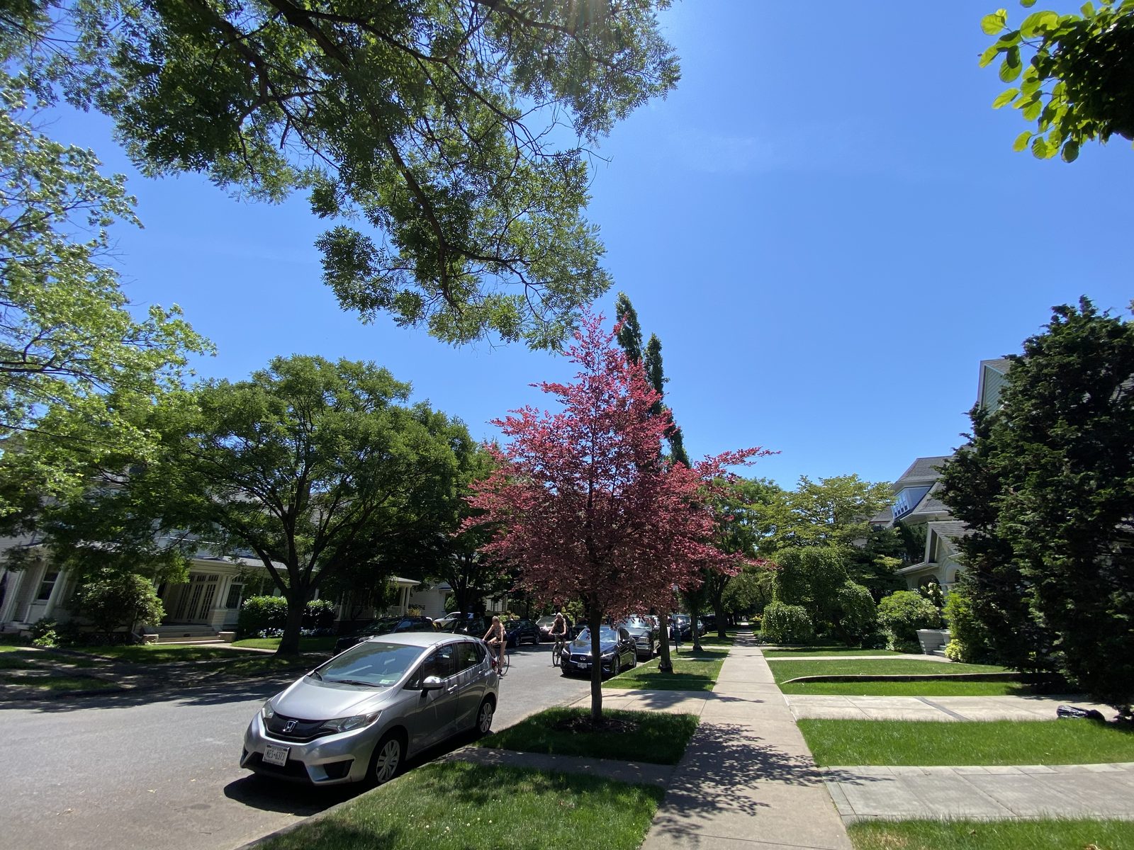 A street in the Ditmas Park Historic District
