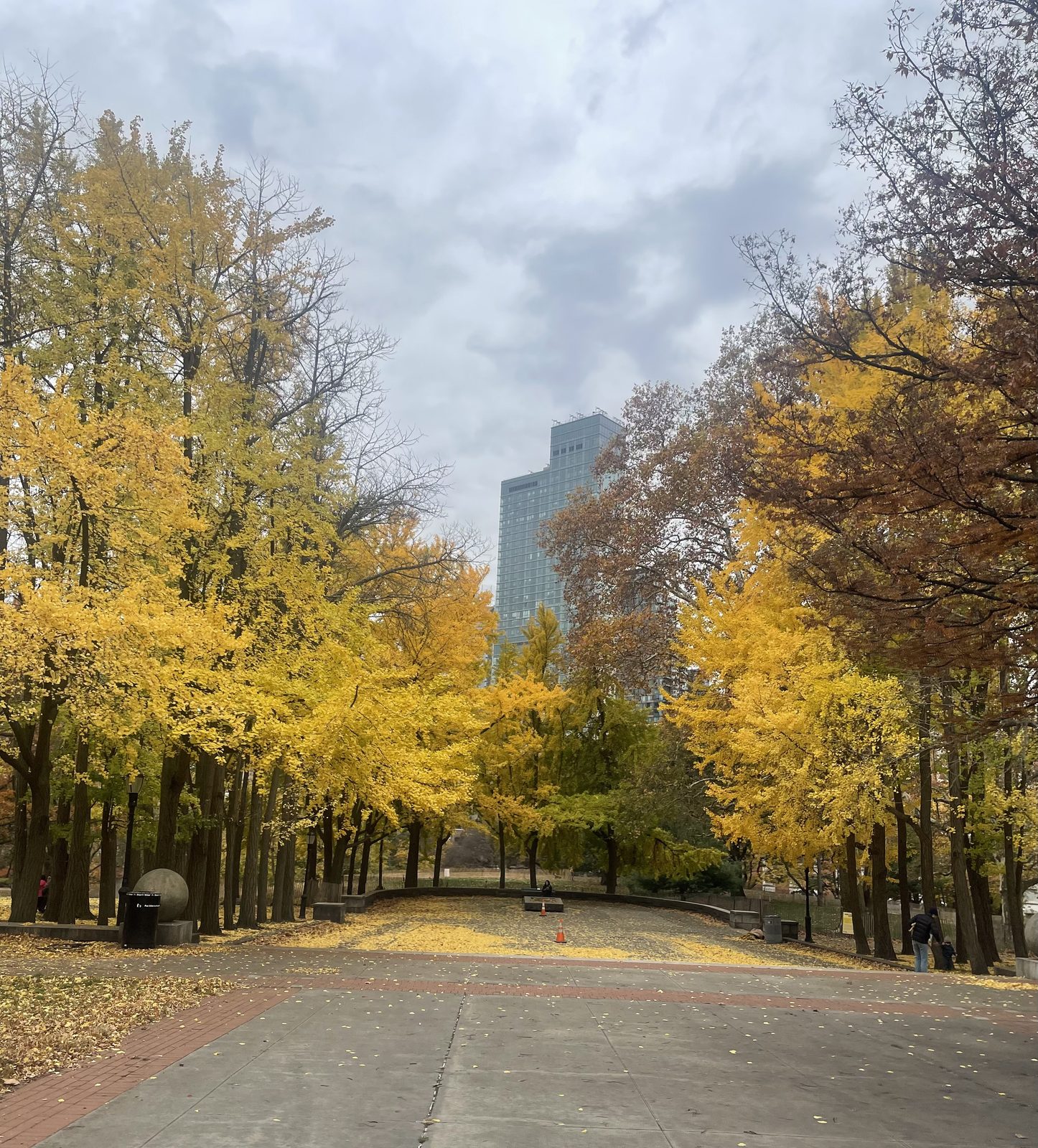 Fort Greene Park in autumn