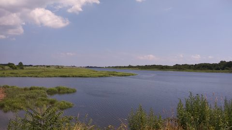 Gerritsen Creek and the Marine Park salt marsh