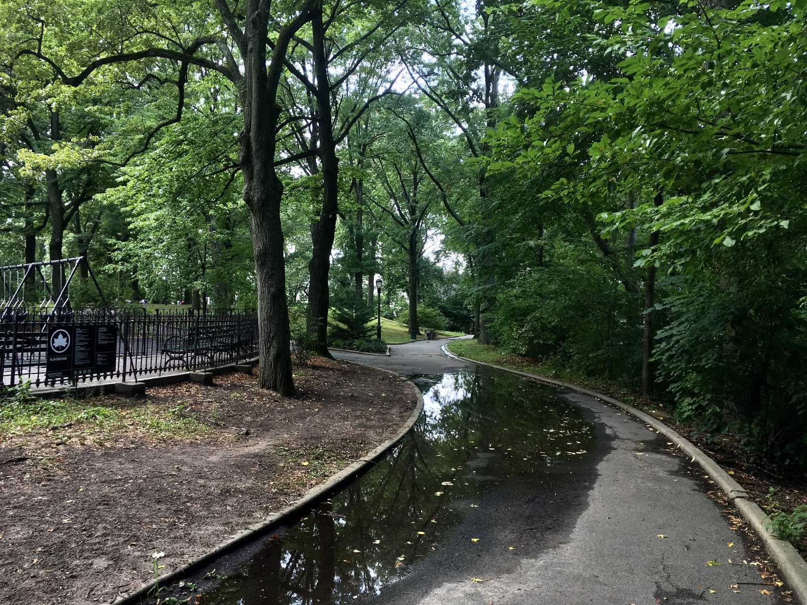 A path through Mount Prospect Park