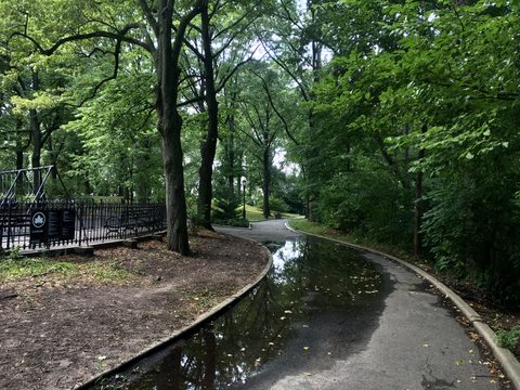 A path through Mount Prospect Park