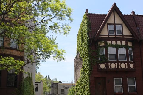 A Tudor row house in Prospect Lefferts Gardens
