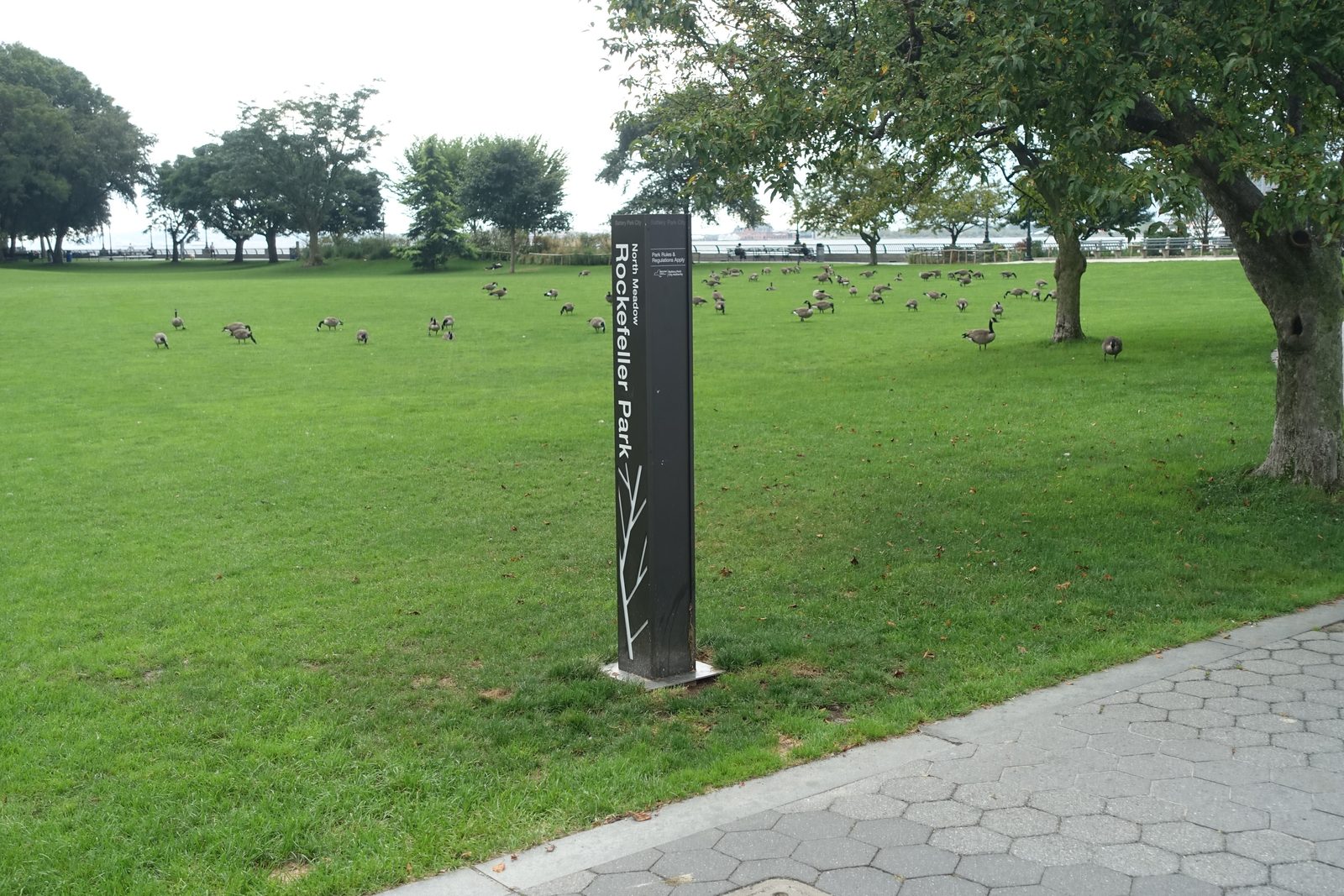 Rockefeller Park