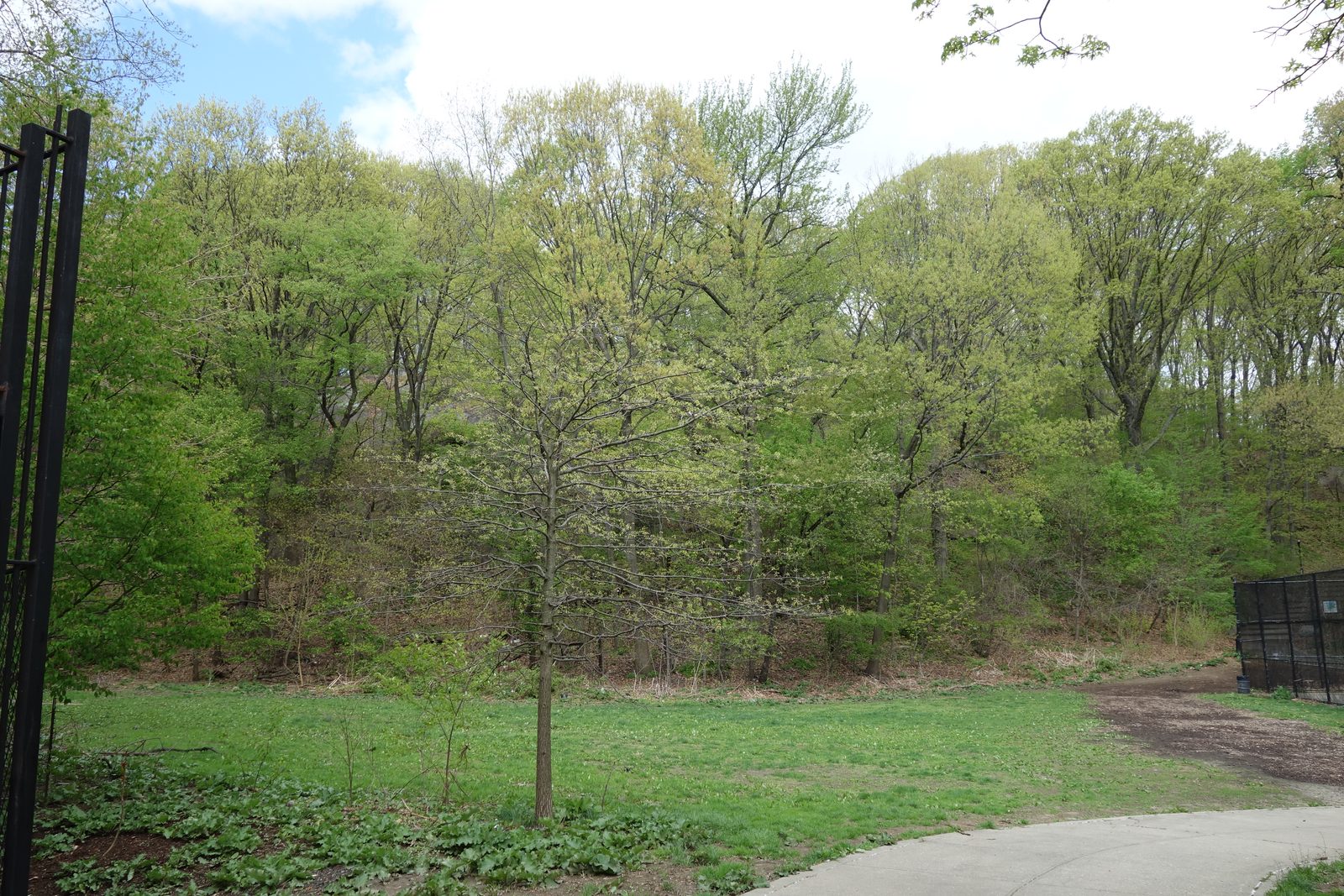 Inwood Hill Park