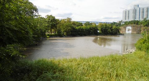 Muscota Marsh