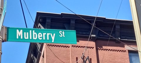 Little Italy street scene