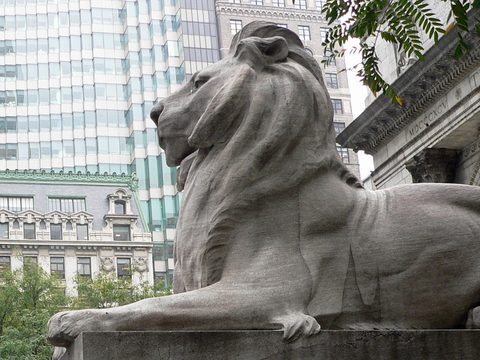 New York Public Library Lion