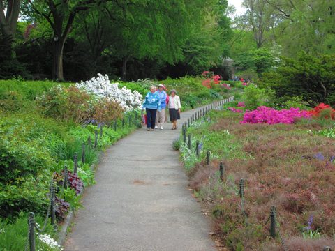 Fort Tryon Park Heather Garden