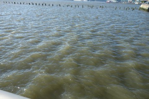Hudson River Park at Pier 45