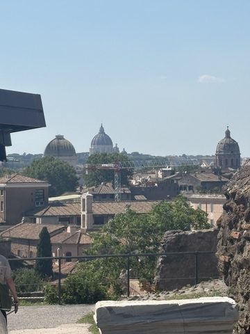 Over the Forum rooftops